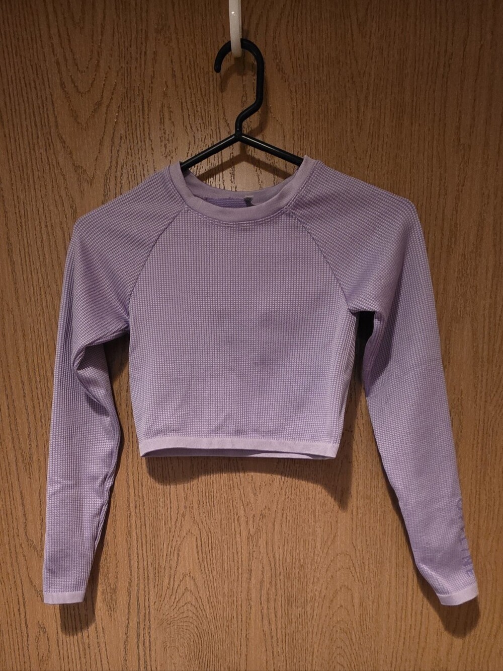 Offline by Aerie Lavender Long-Sleeve Cropped Top, Size SM